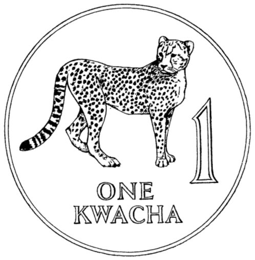 Zambia cheetah sketch-.jpg