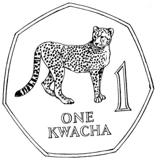 Zambia cheetah sketch.jpg
