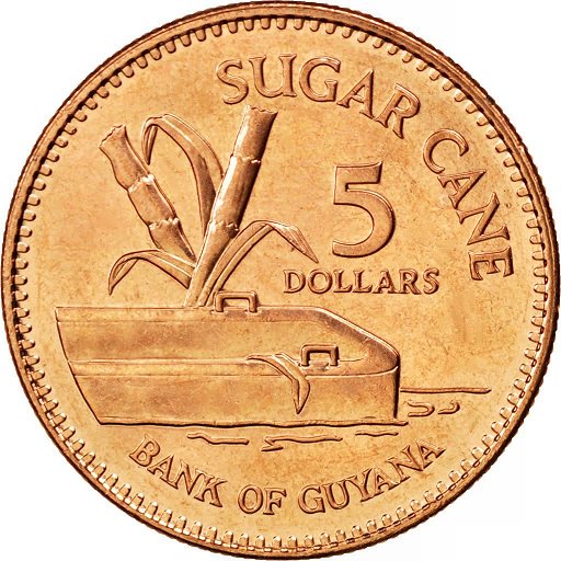 Guyana $5 1996.jpg