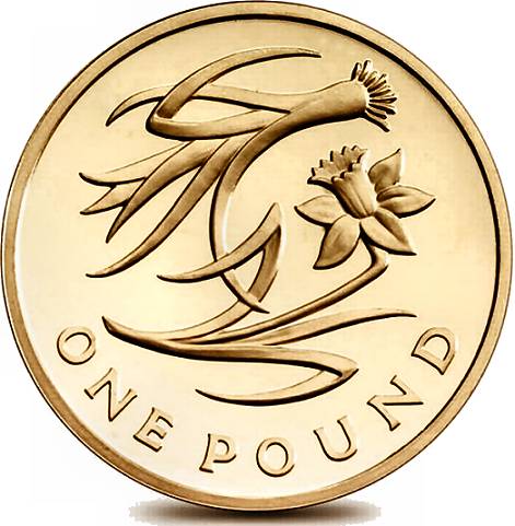 UK 1 pound 2013.jpg
