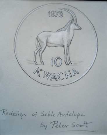 Sable Antelope.jpg